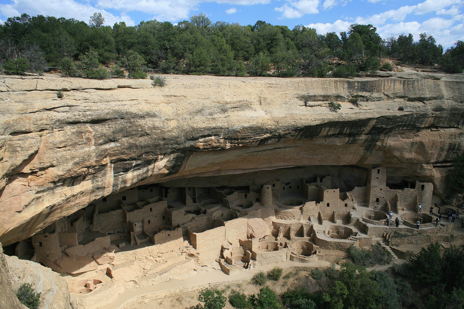 Cliff Palace at Mesa Verde, Colorado, a 13th-century Ancestral Puebloan cliff dwelling of over 150 rooms.